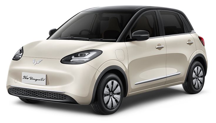 Wuling BinguoEV